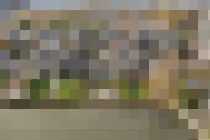 Volkerak 16 Zwijndrecht thumbnail 47