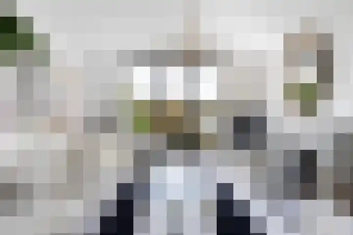 Volkerak 16 Zwijndrecht thumbnail 8
