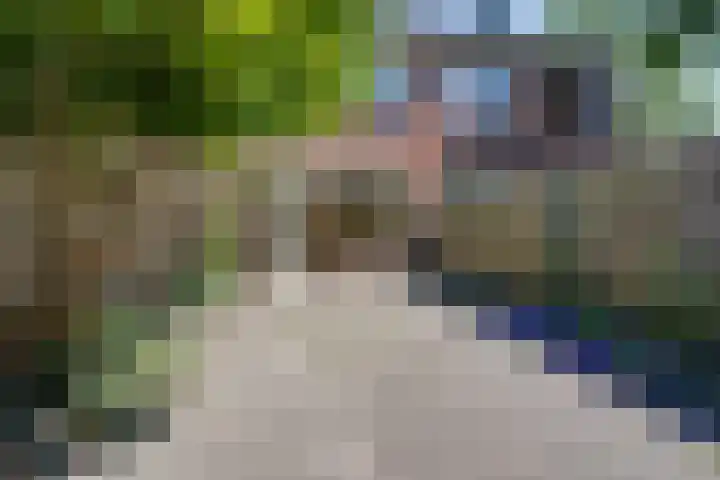 Volkerak 29 Alkmaar thumbnail 19
