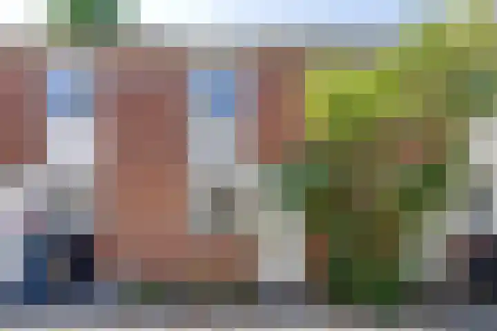 Volkerak 29 Alkmaar foto 2