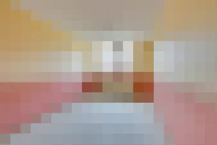 Volkerak 29 Alkmaar thumbnail 22