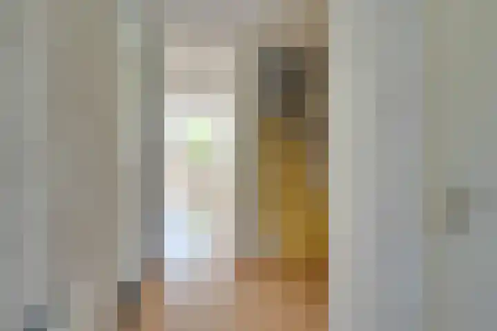 Volkerak 29 Alkmaar thumbnail 5