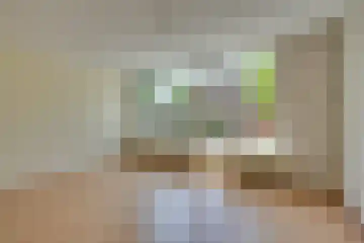 Volkerak 29 Alkmaar thumbnail 8