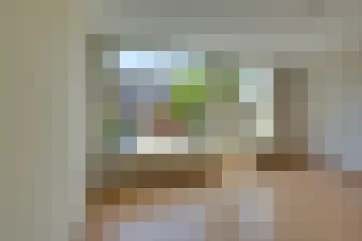 Volkerak 29 Alkmaar thumbnail 9