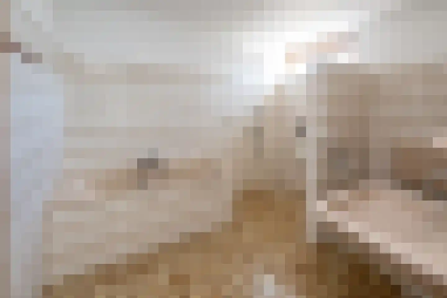 Volkerak 32 Zwolle thumbnail 20