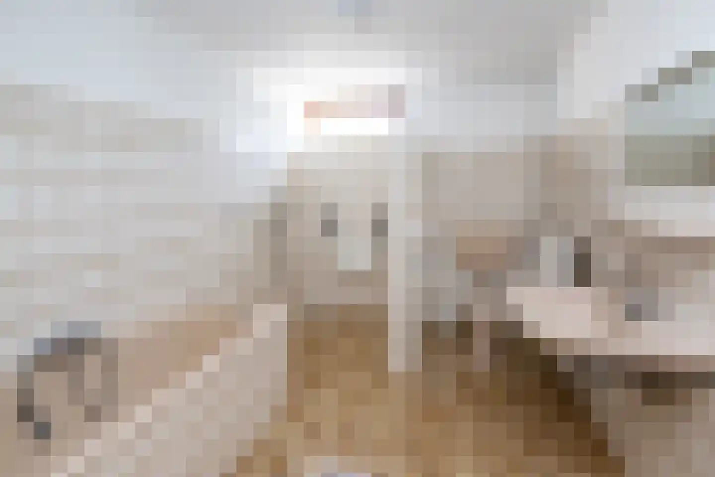 Volkerak 32 Zwolle thumbnail 21
