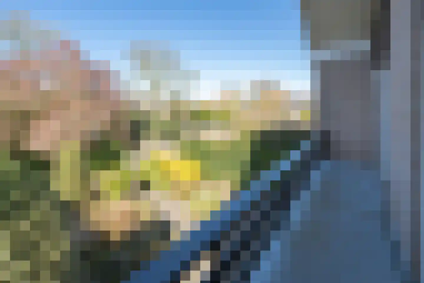 Volkerak 32 Zwolle thumbnail 26
