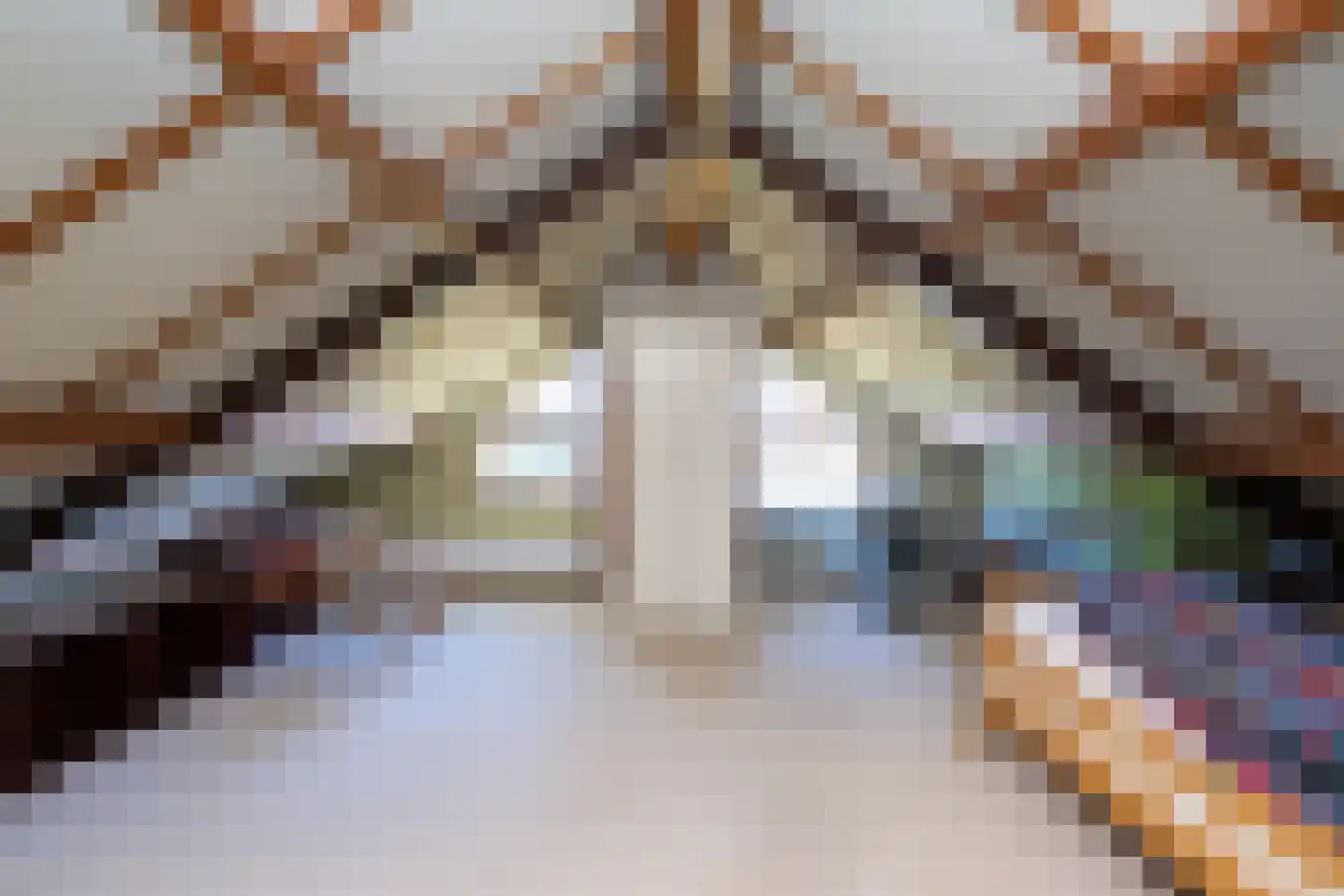 Volkerak 32 Zwolle thumbnail 31