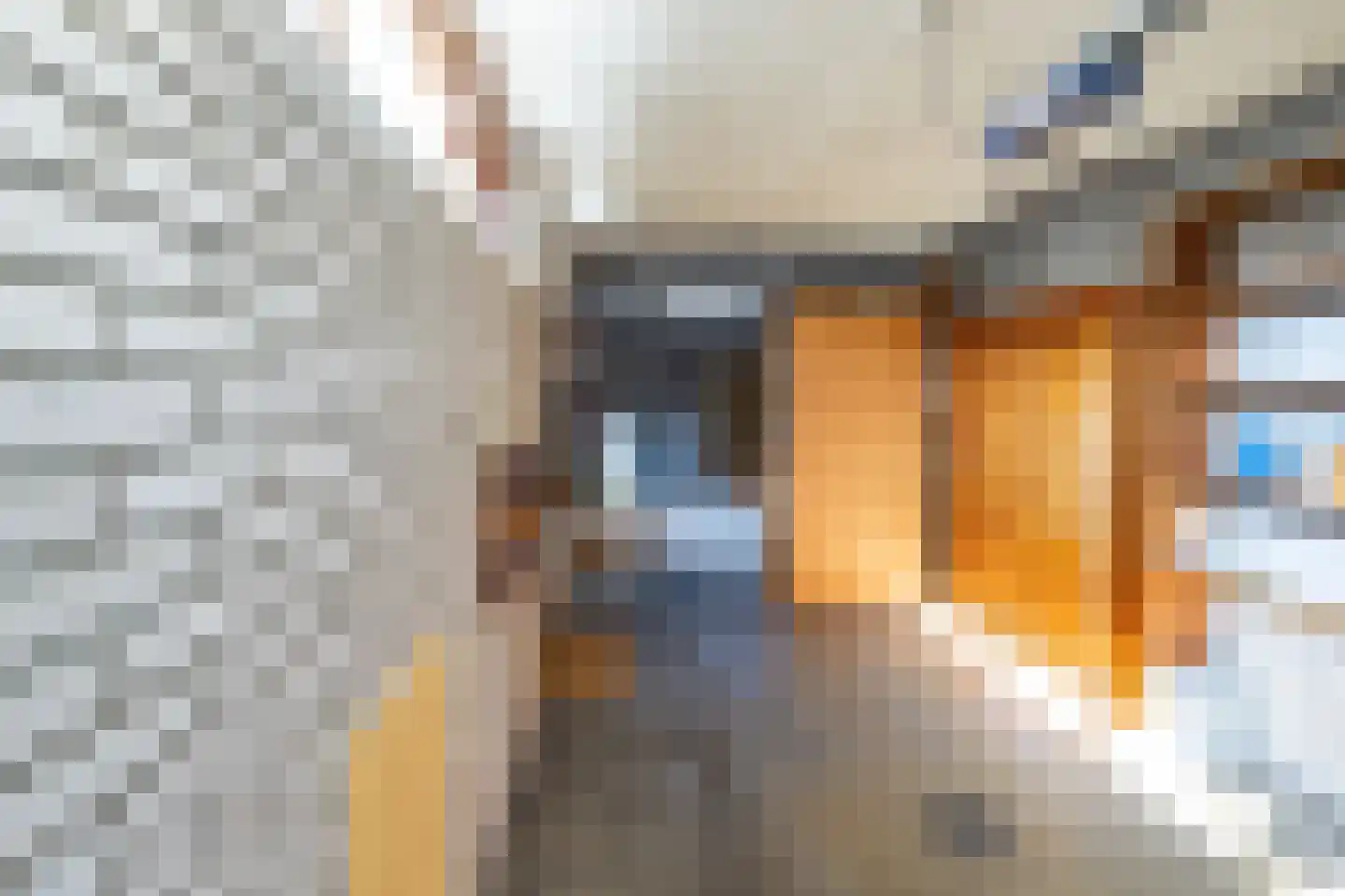 Volkerak 32 Zwolle thumbnail 33