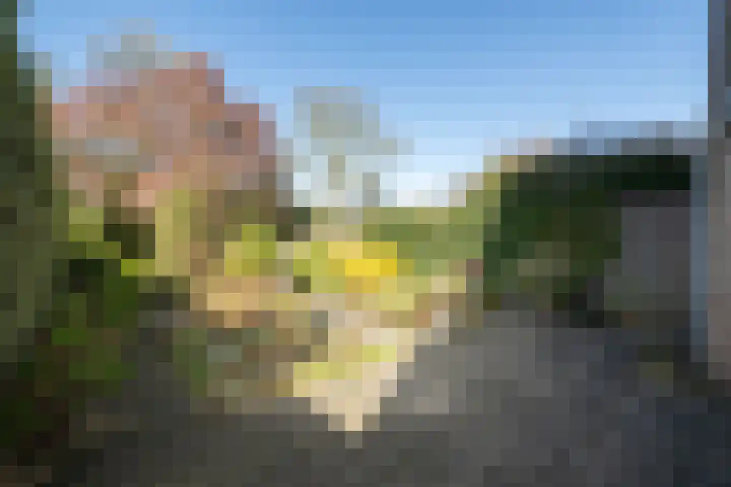 Volkerak 32 Zwolle thumbnail 41