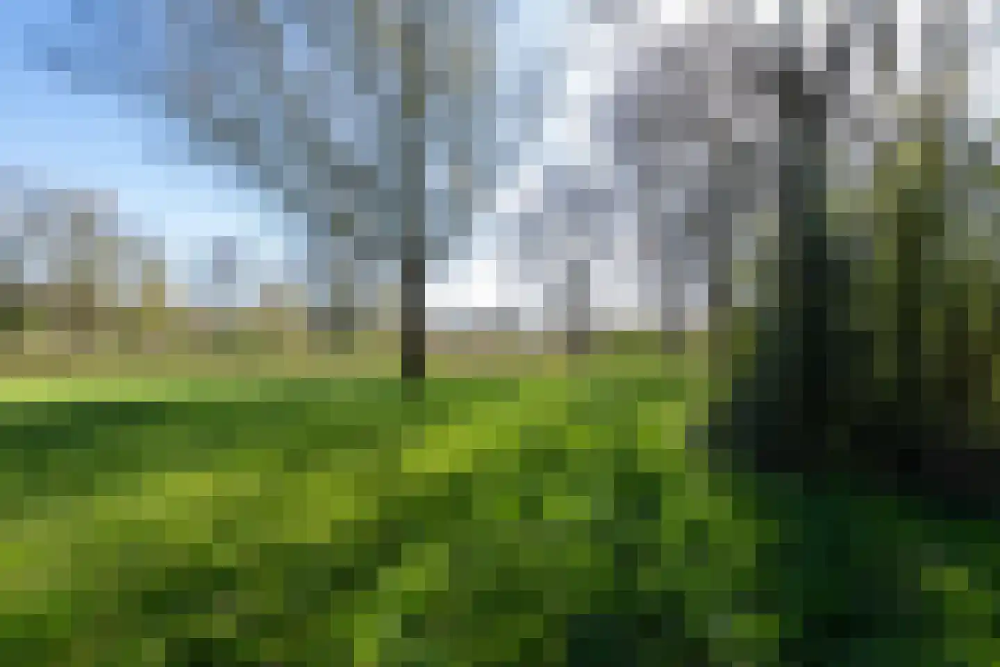 Volkerak 32 Zwolle thumbnail 44