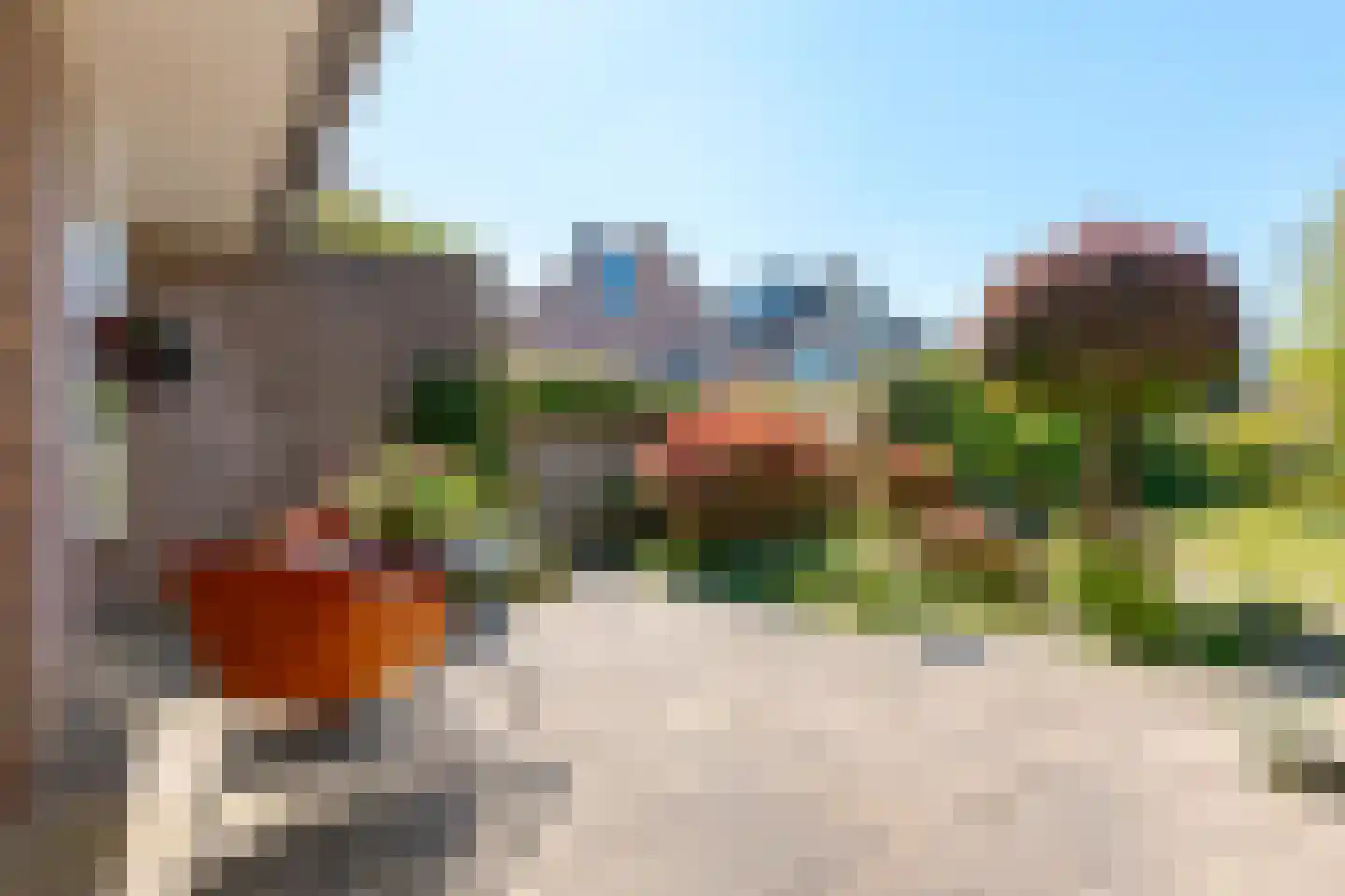Volkerak 34 Zwolle thumbnail 31