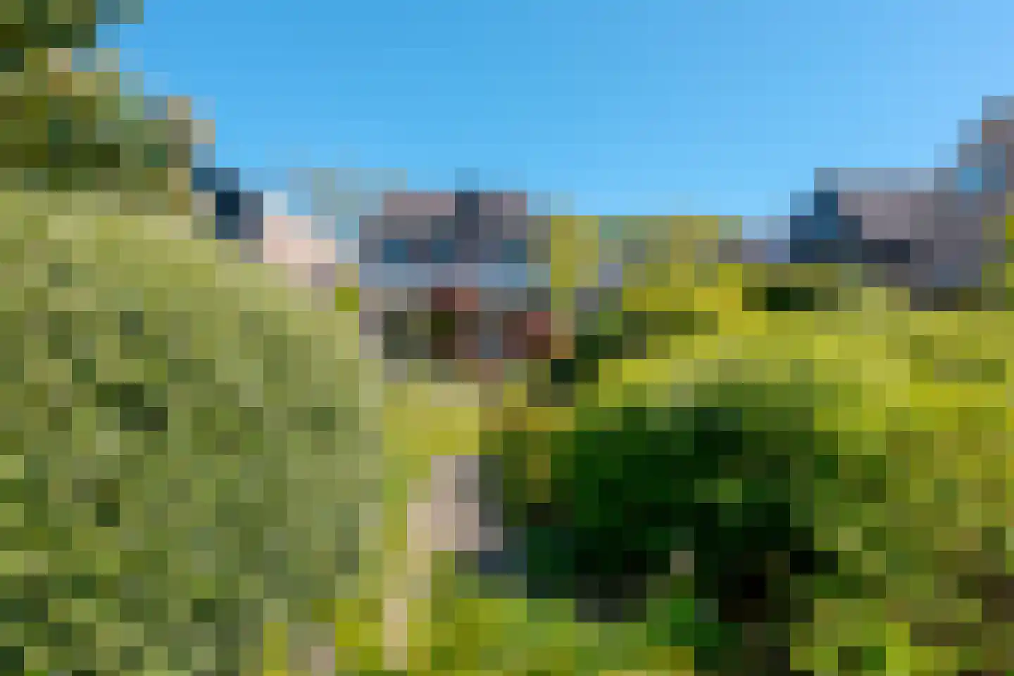 Volkerak 34 Zwolle thumbnail 61