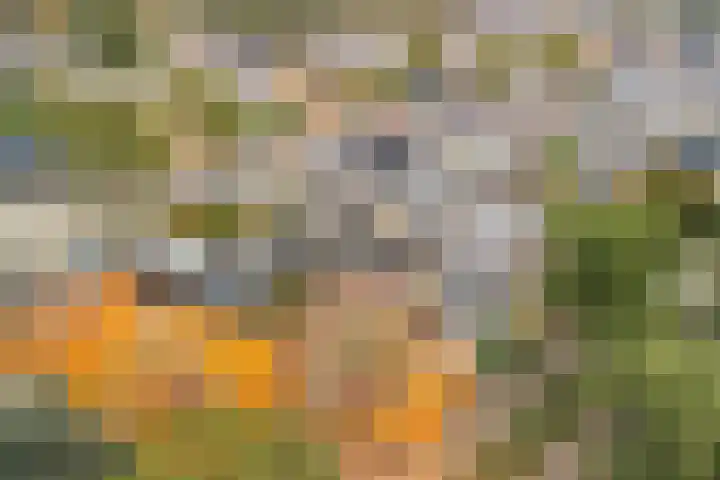 Volkerak 4 Alphen aan den Rijn thumbnail 31