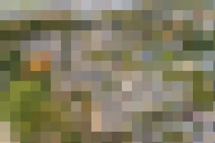 Volkerak 4 Alphen aan den Rijn thumbnail 4