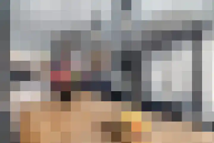 Volkerak 4 Alphen aan den Rijn thumbnail 40
