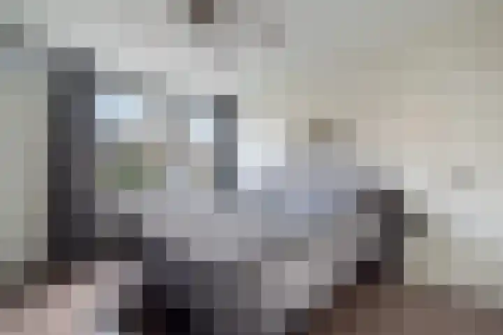 Volkerak 4 Alphen aan den Rijn thumbnail 44