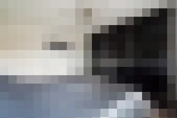 Volkerak 4 Alphen aan den Rijn thumbnail 45