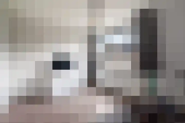 Volkerak 4 Alphen aan den Rijn thumbnail 48