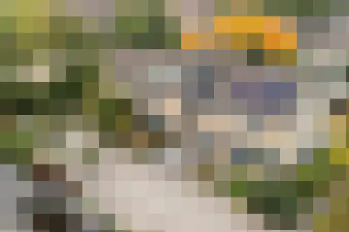 Volkerak 4 Alphen aan den Rijn thumbnail 5
