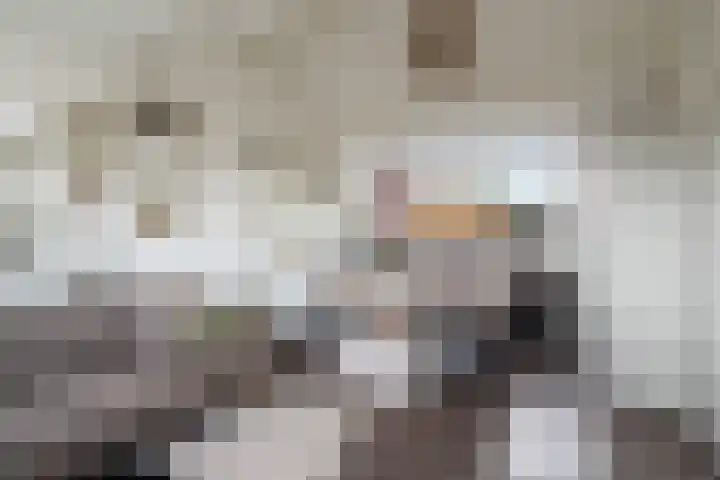 Volkerak 4 Alphen aan den Rijn thumbnail 56