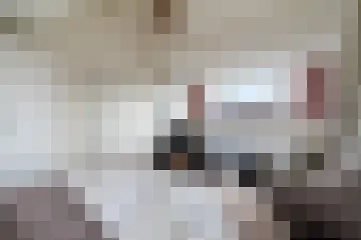 Volkerak 4 Alphen aan den Rijn thumbnail 57