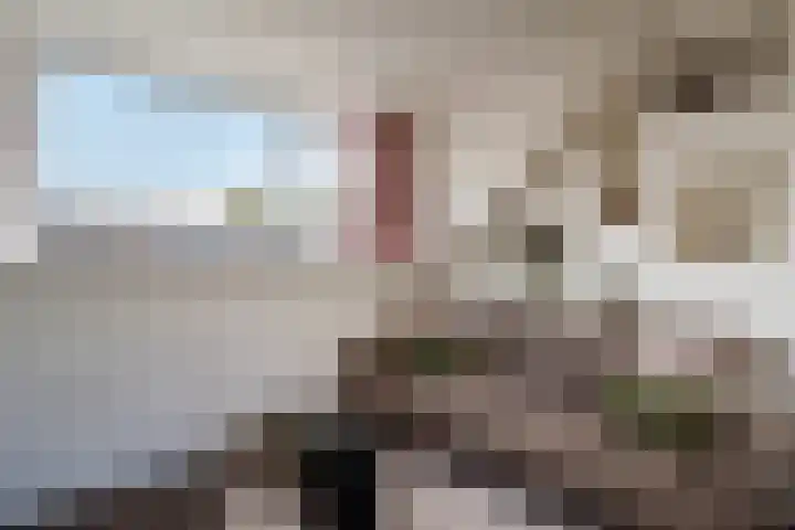 Volkerak 4 Alphen aan den Rijn thumbnail 58