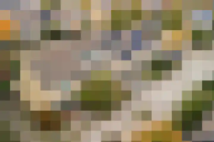 Volkerak 4 Alphen aan den Rijn thumbnail 6