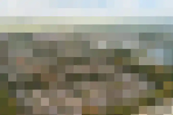 Volkerak 4 Alphen aan den Rijn thumbnail 61