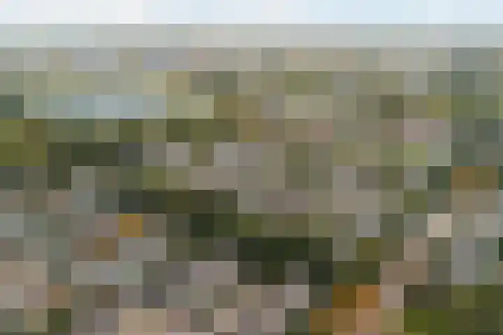 Volkerak 4 Alphen aan den Rijn thumbnail 62