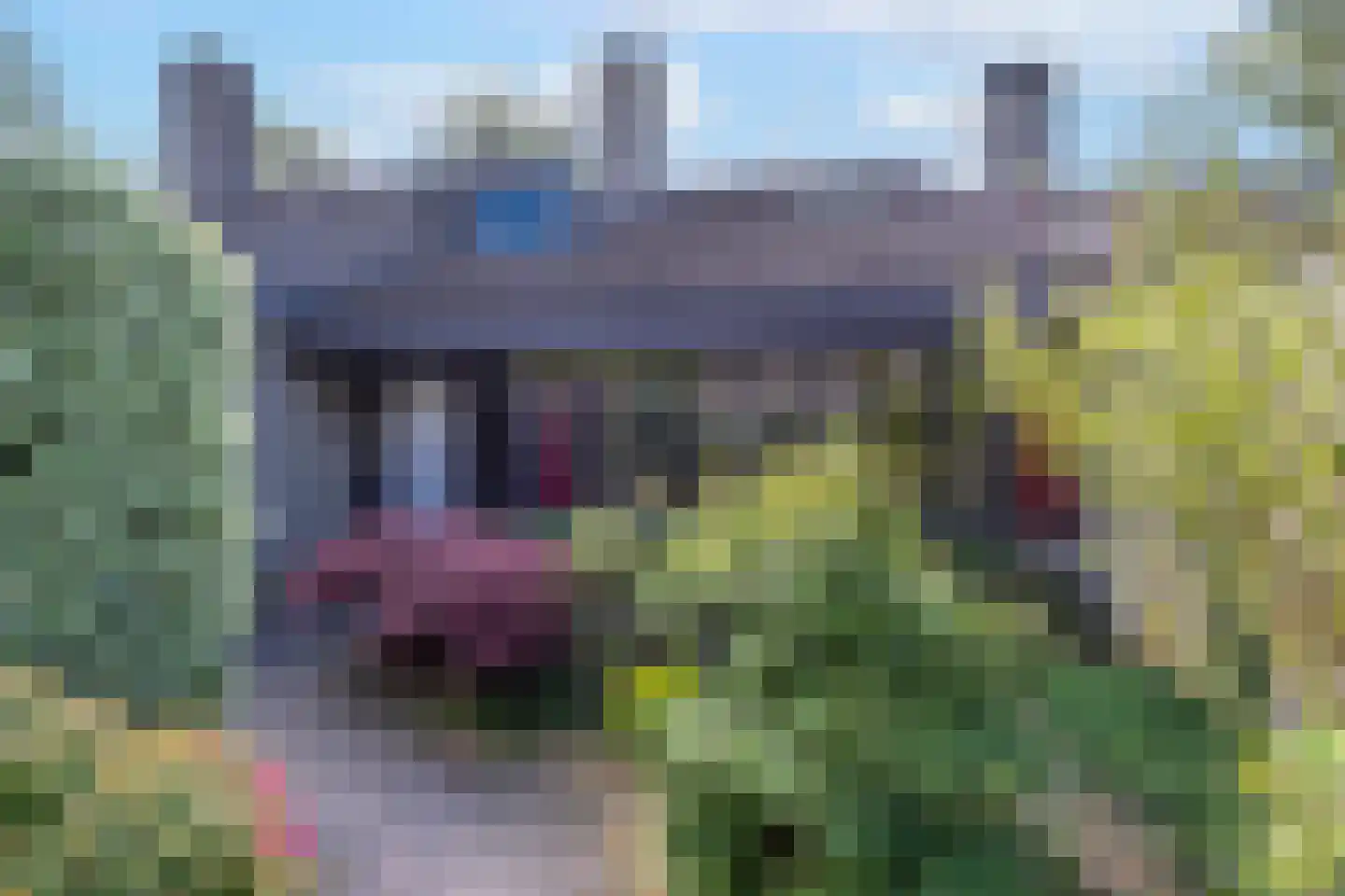 Volkerak 44 en Zwolle