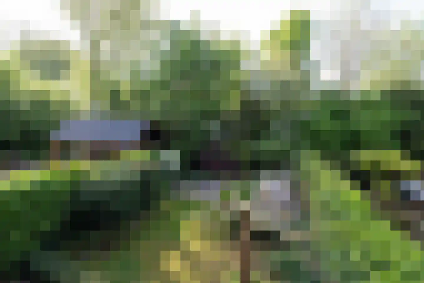 Volkerak 44 Zwolle thumbnail 26