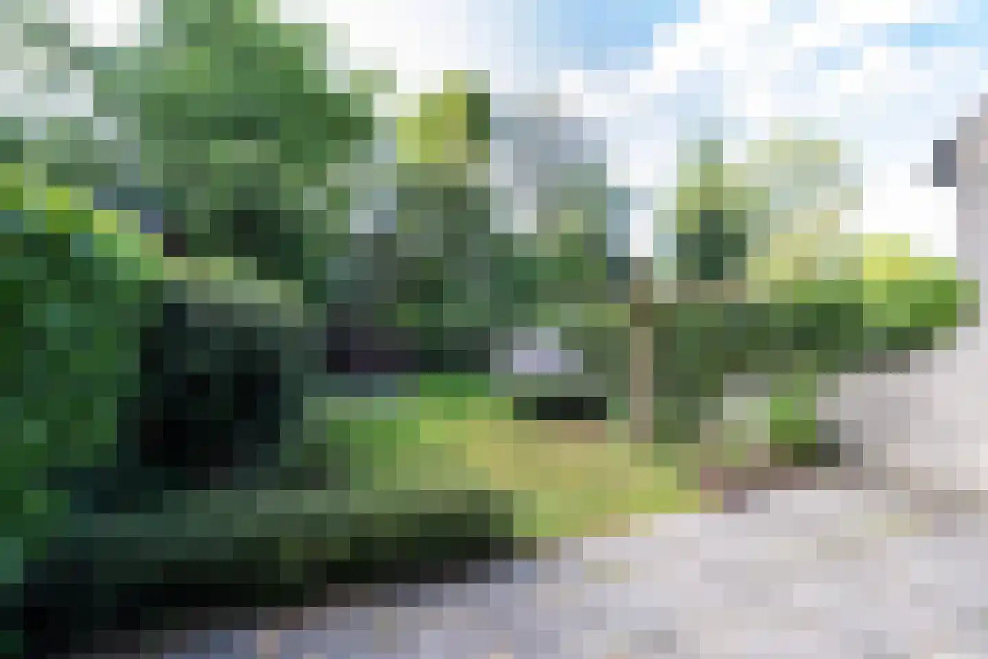 Volkerak 44 Zwolle thumbnail 28