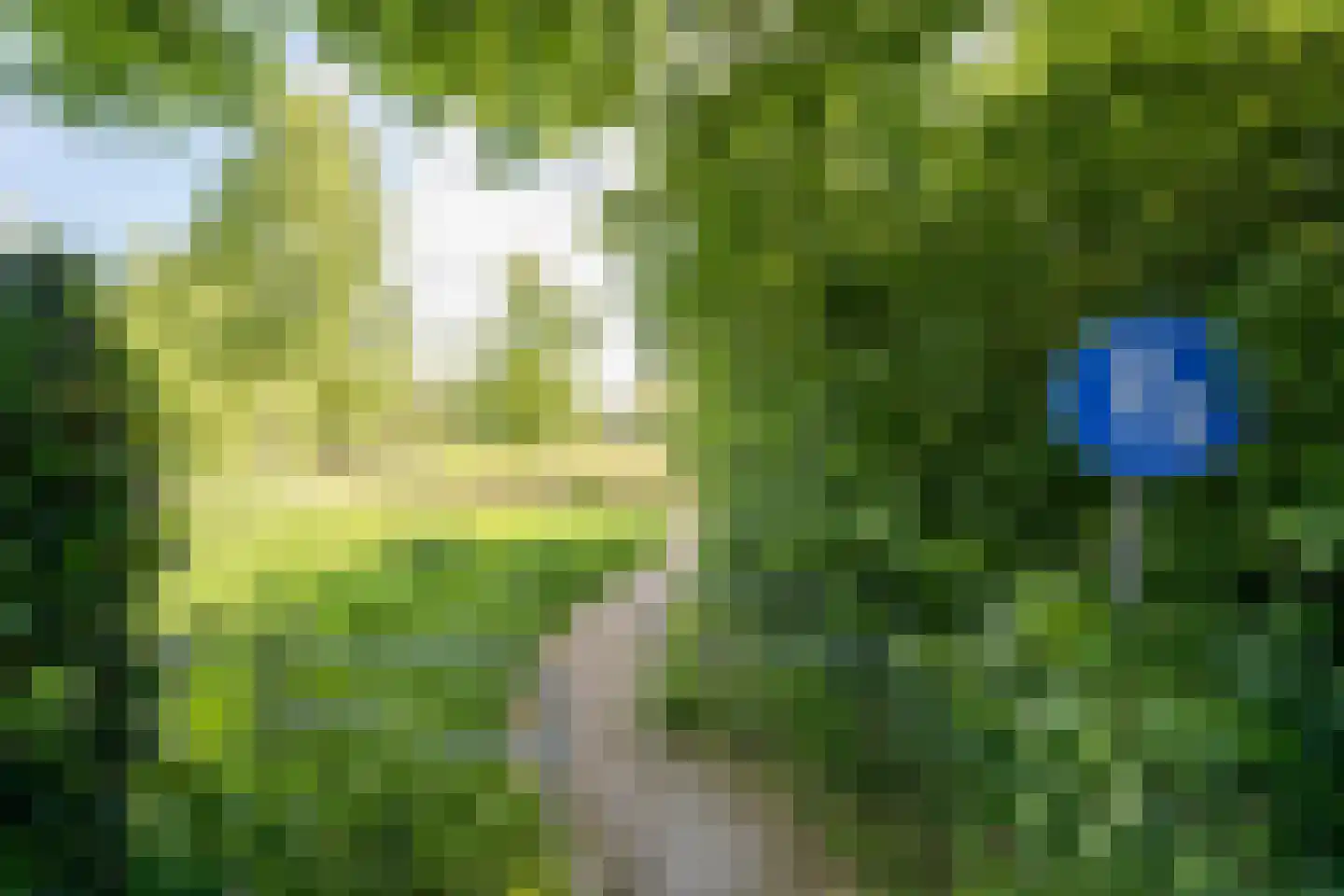 Volkerak 44 Zwolle thumbnail 32