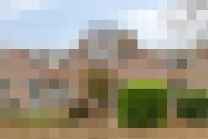 Volkerak 46 Pijnacker