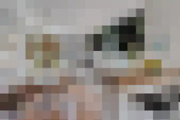 Volkerak 46 Pijnacker thumbnail 12