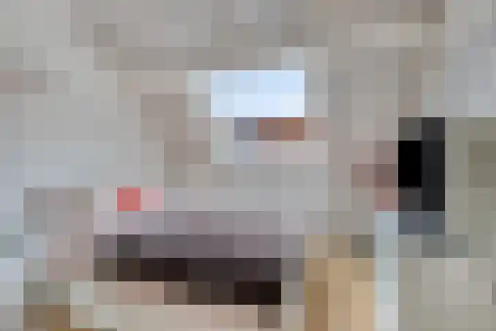 Volkerak 46 Pijnacker thumbnail 20