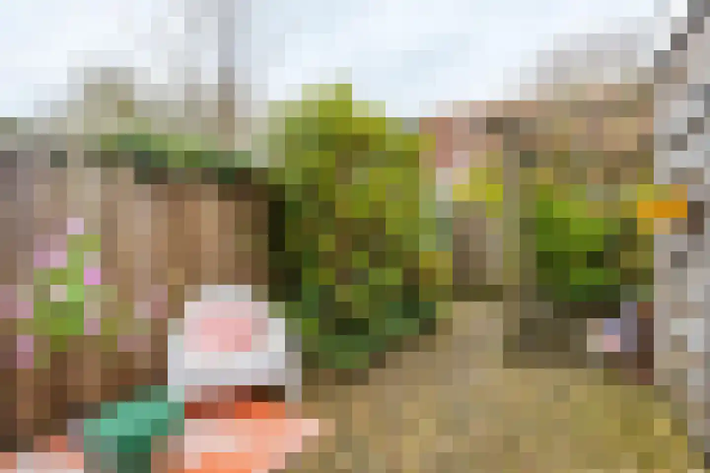 Volkerak 46 Pijnacker thumbnail 34