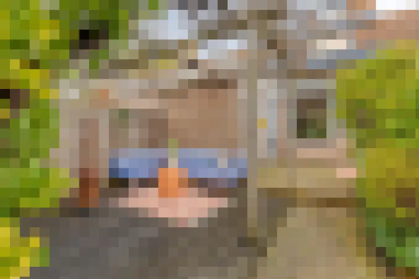 Volkerak 46 Pijnacker thumbnail 36