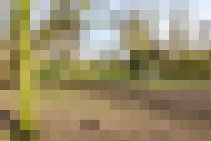 Volkerak 46 Pijnacker thumbnail 38