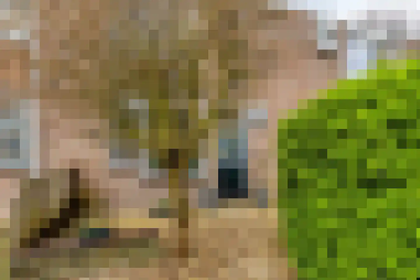 Volkerak 46 Pijnacker thumbnail 5