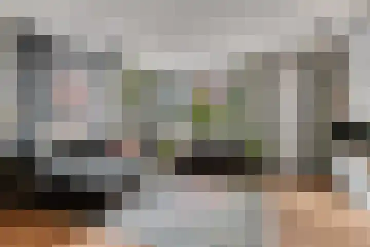 Volkerak 46 Pijnacker thumbnail 6