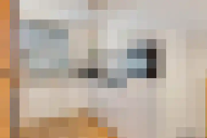 Volkerak 6 Alkmaar thumbnail 14