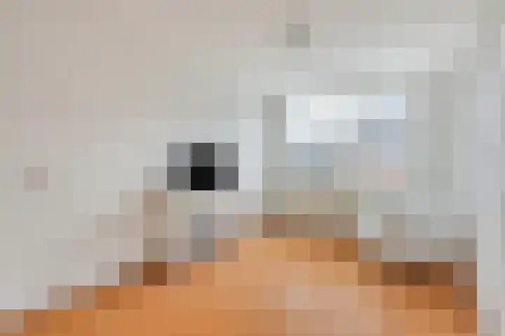 Volkerak 6 Alkmaar thumbnail 25