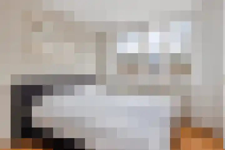 Volkerak 6 Alkmaar thumbnail 28