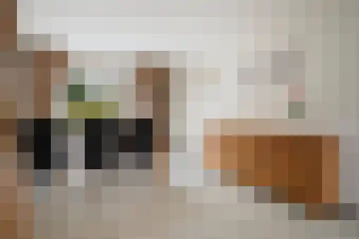 Volkerak 7 Terneuzen thumbnail 11
