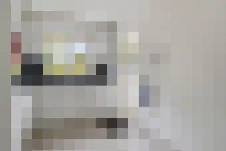 Volkerak 7 Terneuzen thumbnail 13