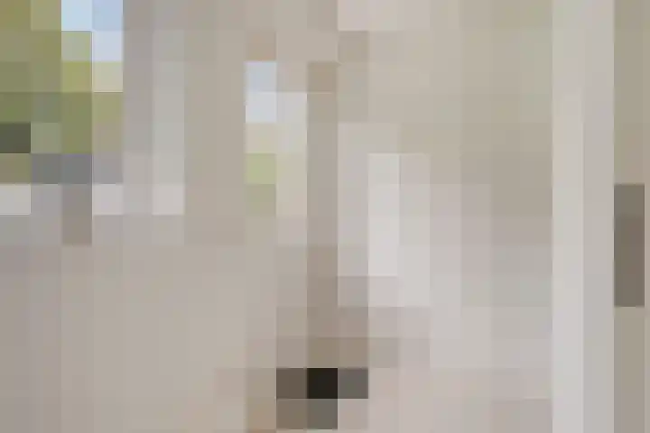 Volkerak 7 Terneuzen thumbnail 17