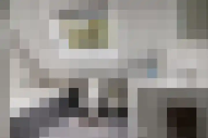 Volkerak 7 Terneuzen thumbnail 21