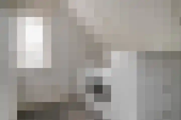 Volkerak 7 Terneuzen thumbnail 26